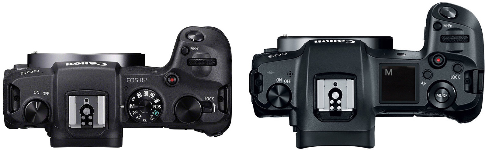 Canon-EOS-RP-vs-R-Top-Panel-copy Canon-EOS-RP-vs-R-Top-Panel-copy