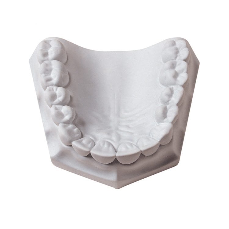 white dental clay model mold for dental product photography example